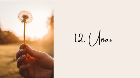 aceite de cacay ideal para cuidar tus uñas