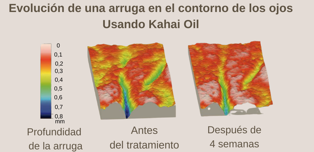 Corrector de arrugas para el contorno de ojos con aceite de Cacay