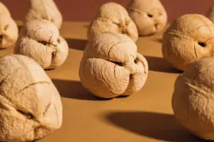 Rejuvenecedor natural para la piel: Aceite de cacay