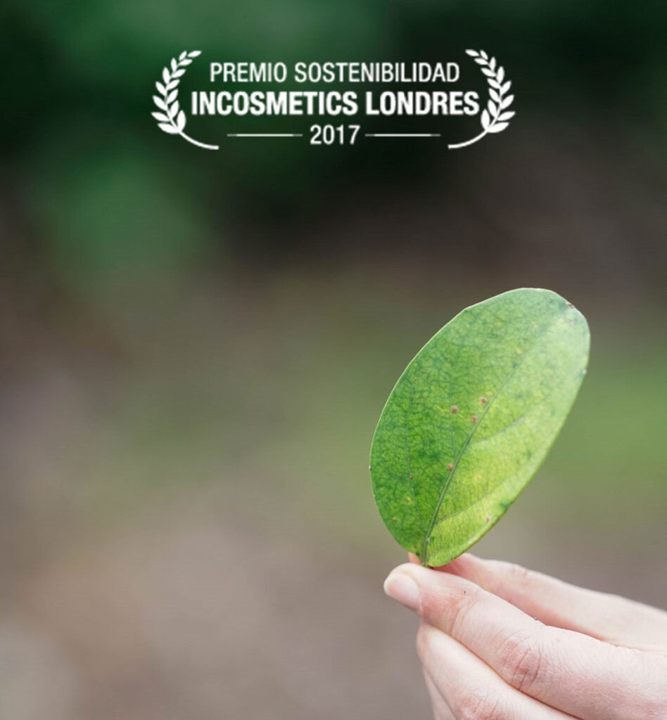 premio sostenibilidad 2017